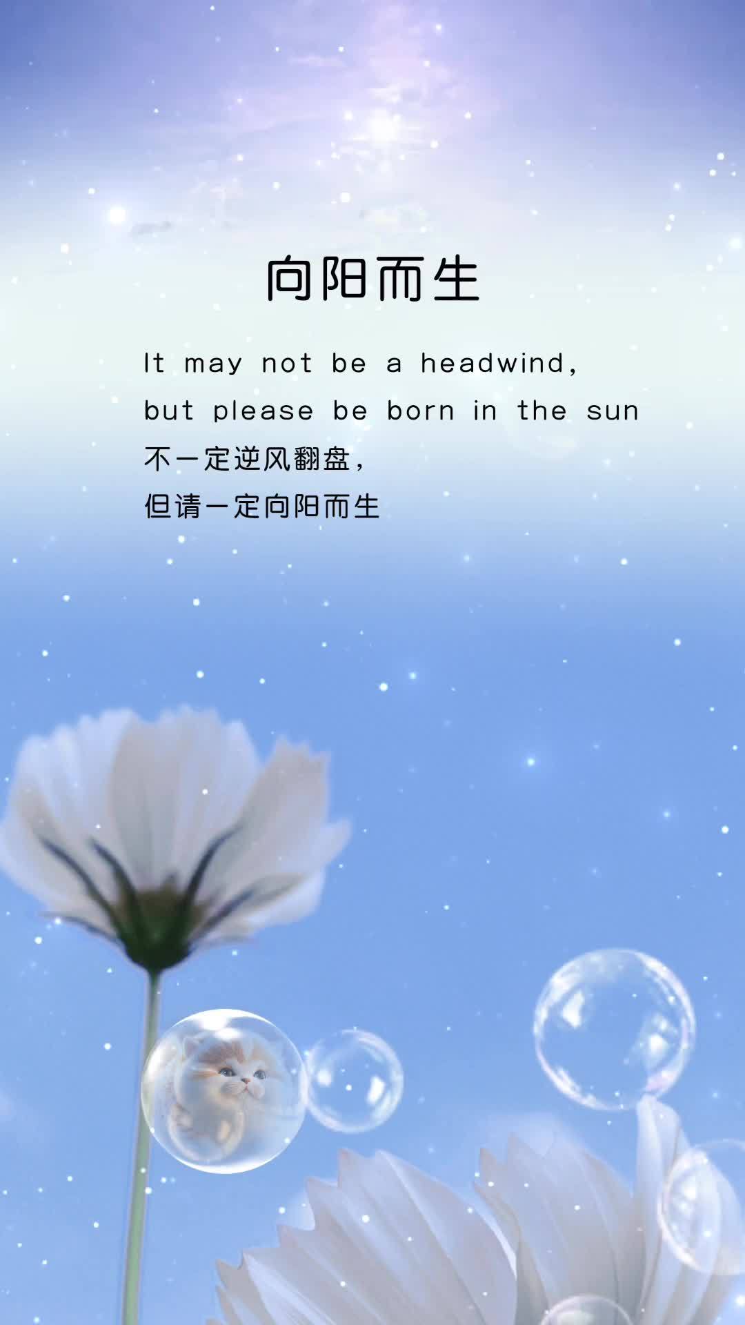 爱尔兰队逆风翻盘,展现战胜困难的决心的简单介绍 爱尔兰队逆风翻盘,展现战胜困难的决心的简单介绍